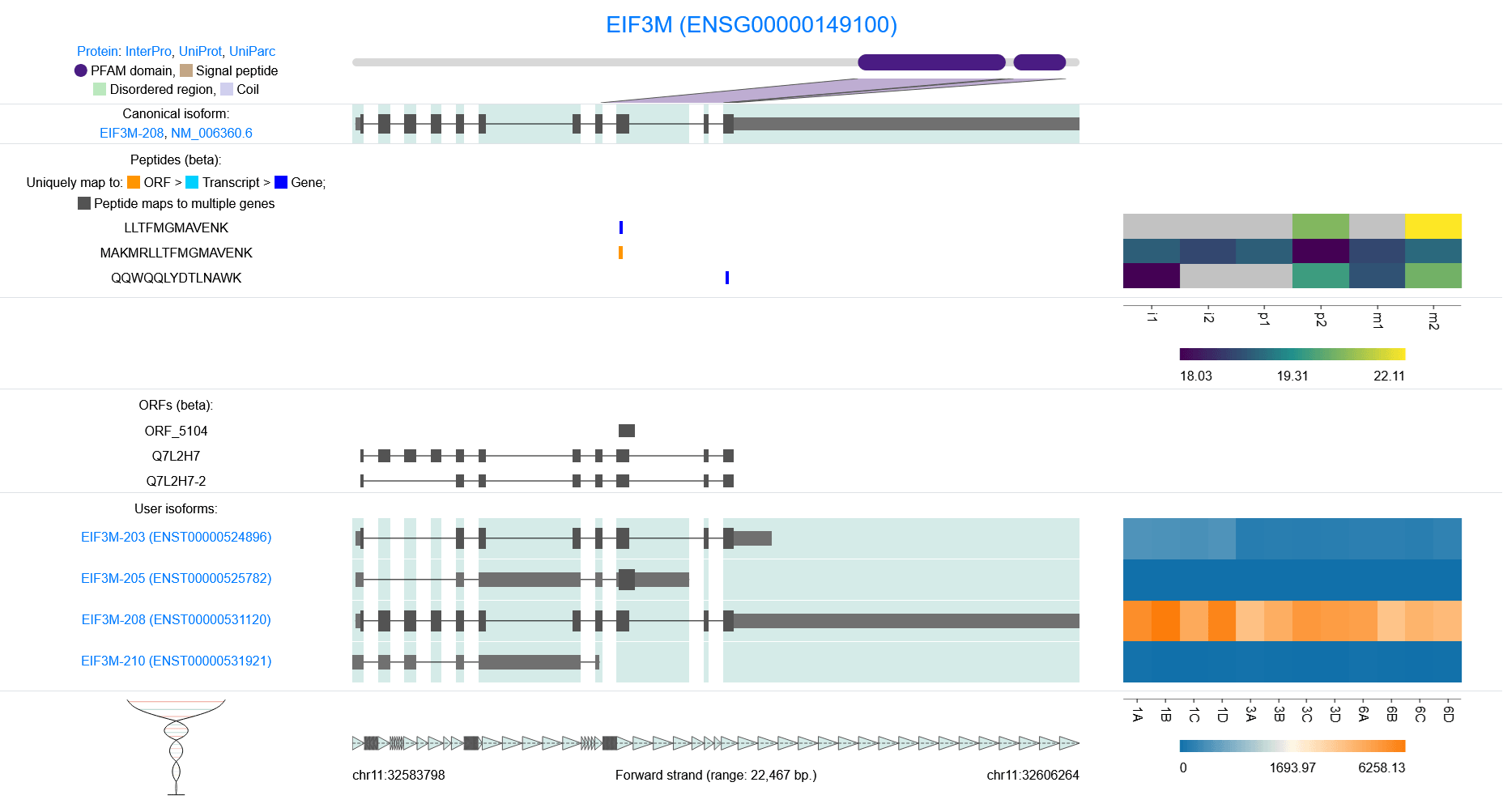 IsoVis exported PNG example