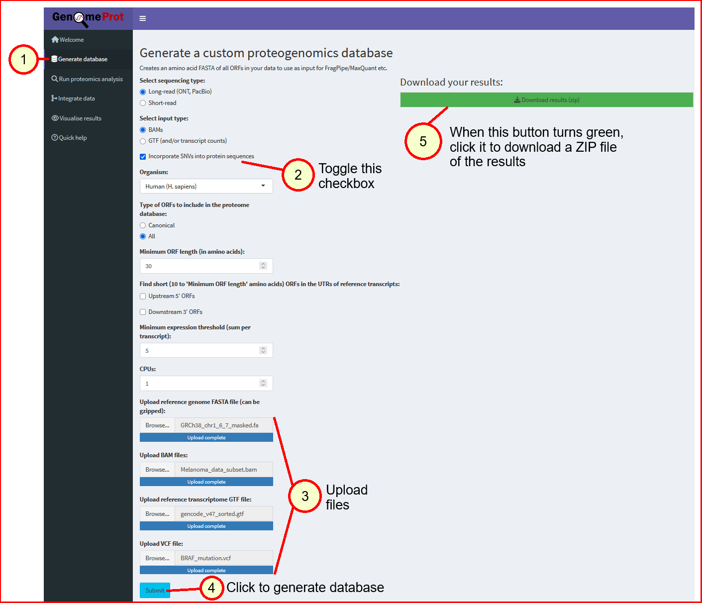 Database Generation screenshot